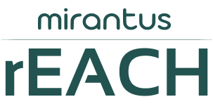 Reach Logo